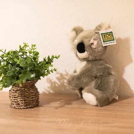 Koala Mit 500 Mbit's Wlan Und Balkon *