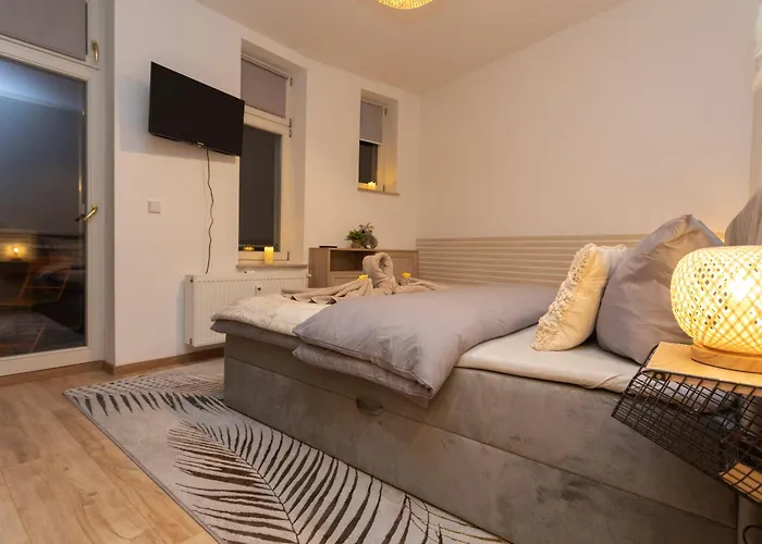 Koala Mit 500 Mbit's Wlan Und Balkon Leipzig