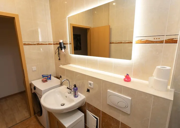 Koala Mit 500 Mbit's Wlan Und Balkon Leipzig